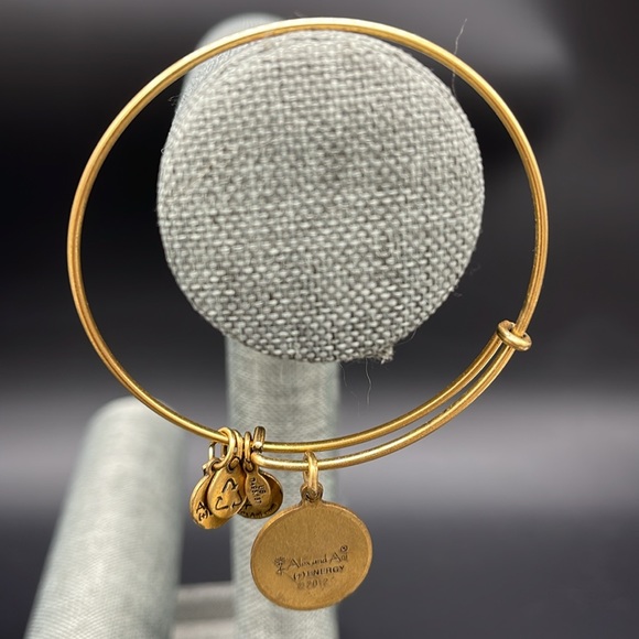 Alex and Ani Gold Born to Be Something charm bracelet adjustable Bangle boho - Picture 4 of 4